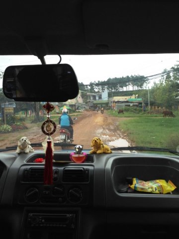 image 20150719_084700_4003-jpg