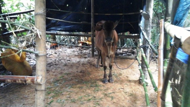 image 20150730_153949-jpg