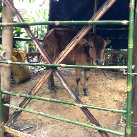 image 20150730_155600_4086-jpg