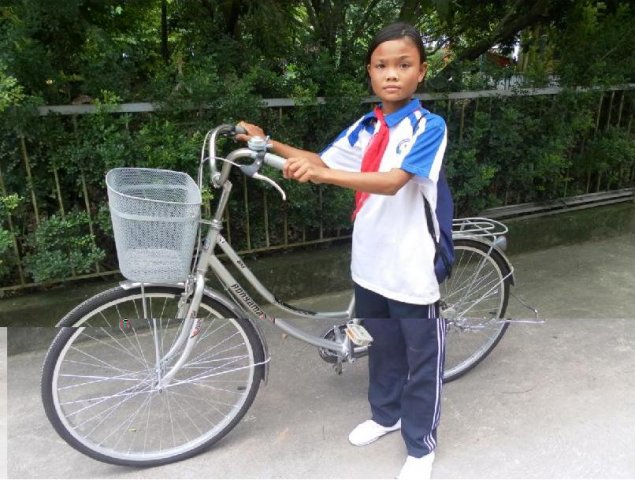 image cat_thue_4-jpg