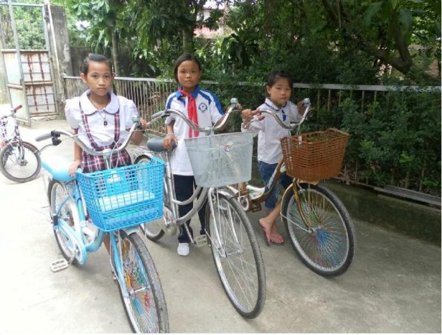 image cat_thue_6-jpg